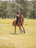 IMG_9469 IMG_9469