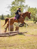 IMG_9472 IMG_9472