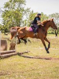 IMG_9473 IMG_9473