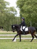 IMG_0748 IMG_0748