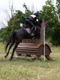 IMG_3079 IMG_3079