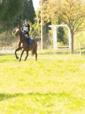 DSC00268