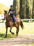 DSC00283 DSC00283