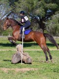 IMG_1859 IMG_1859