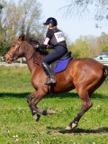 IMG_1862 IMG_1862