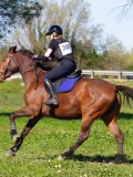 IMG_1863 IMG_1863