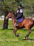 IMG_1866 IMG_1866