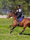 IMG_1867 IMG_1867