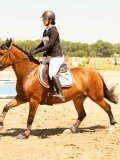 DSC09763