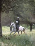 IMG_3535