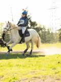 DSC00214 DSC00214