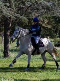 IMG_1789 IMG_1789