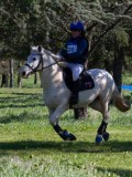 IMG_1791 IMG_1791