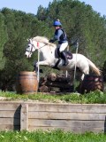 IMG_1795 IMG_1795