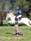 IMG_1798 IMG_1798