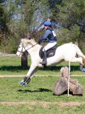 IMG_1799 IMG_1799