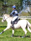 IMG_1801 IMG_1801