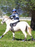IMG_1805 IMG_1805