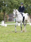 IMG_0786 IMG_0786