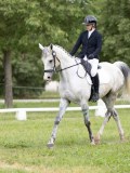 IMG_0787 IMG_0787