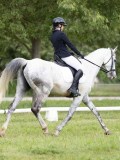 IMG_0789 IMG_0789