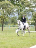 IMG_0795 IMG_0795