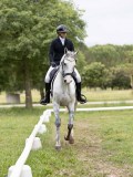 IMG_0803 IMG_0803