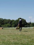 AP104638 AP104638