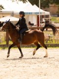 DSC04428 DSC04428