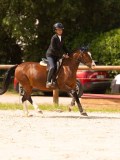 DSC04434 DSC04434