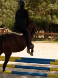 DSC04437 DSC04437