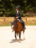 DSC04441 DSC04441