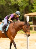 DSC01243 DSC01243