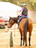DSC01244 DSC01244