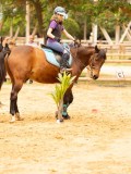 DSC01246 DSC01246