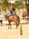 DSC01248 DSC01248