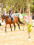 DSC01249 DSC01249