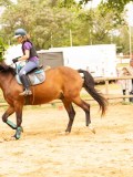 DSC01253 DSC01253