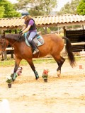 DSC01254 DSC01254