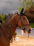 DSC01819 DSC01819