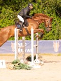 DSC03755 DSC03755