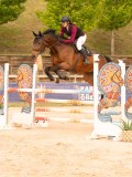 DSC00174 DSC00174