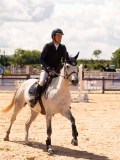 DSC06746 DSC06746