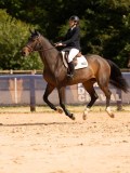 DSC06445 DSC06445