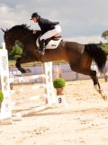 DSC06456 DSC06456