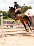 DSC05248 DSC05248