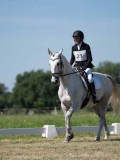 DSC07314 DSC07314