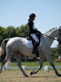 DSC07316 DSC07316