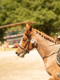 DSC07574 DSC07574
