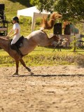 DSC07582 DSC07582